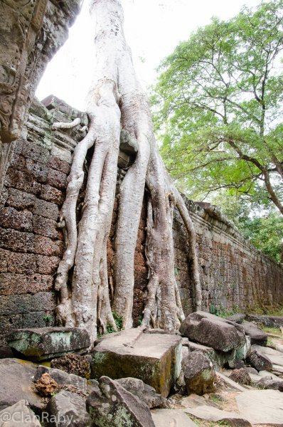 SiemReap-PreahKan-10
