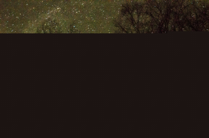 tawanipi2015-11-4