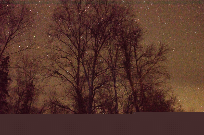 tawanipi2015-11-8