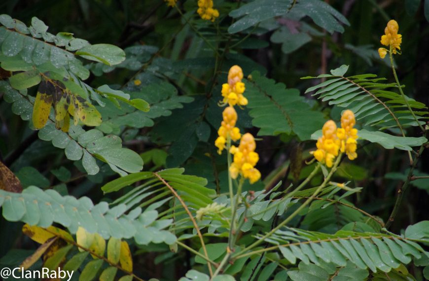 Étape 1 – Arrivé à San José