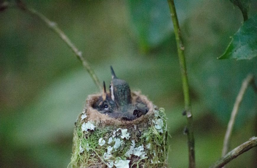 Étape 0 – Avant de partir !!!