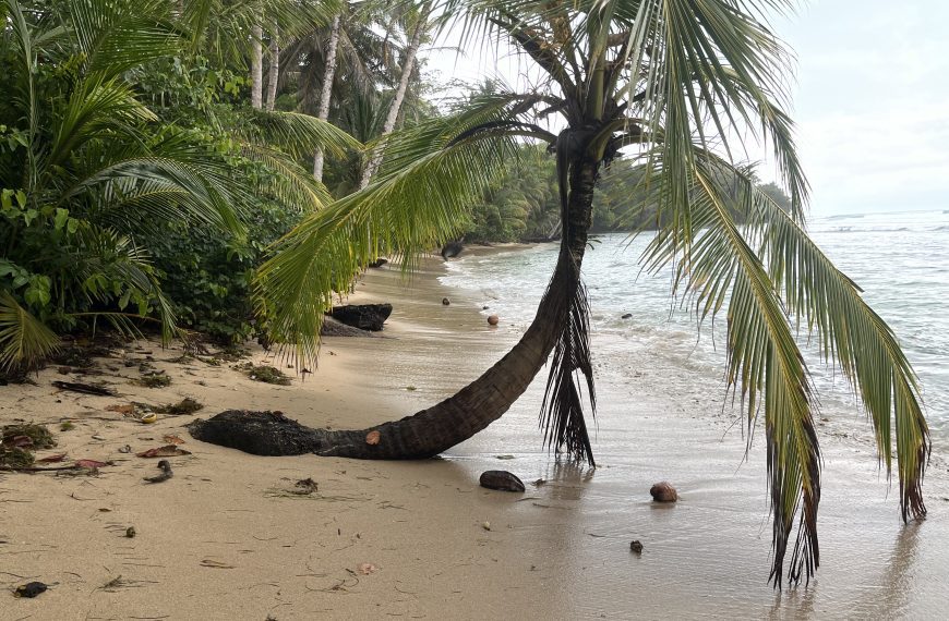 0 – Le vol (3 – 4 février et 6 – 7 Mars)