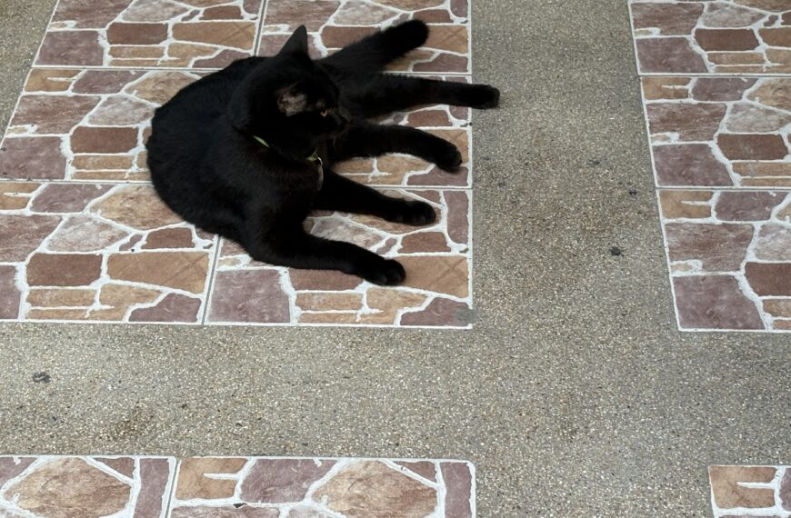 Bangkok 2026 – Étape 8 – Koh Tao